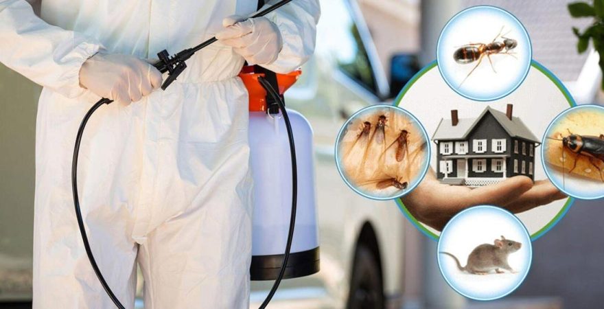 Kalecik Böcek İlaçlama