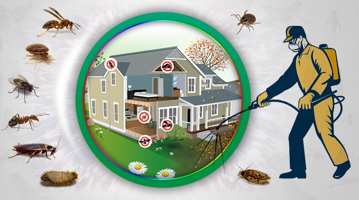 Kalecik Böcek İlaçlama