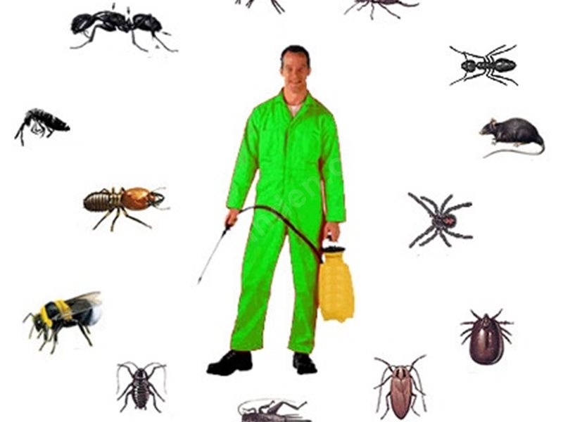 Kalecik Böcek İlaçlama